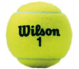 WILSON CHAMPIONSHIP